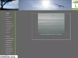 Sites similar to buhrfeind.ch