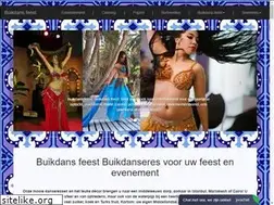 Sites similar to buikdans-feest.nl