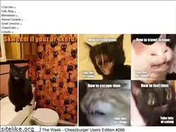 Sites similar to builder.cheezburger.com