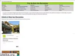 Sites similar to buislesbaronnies.com