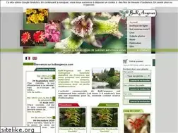 Sites similar to bulbargence.com