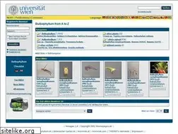 Sites similar to bulbophyllum.at
