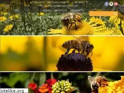 Sites similar to bulgarianbee.com