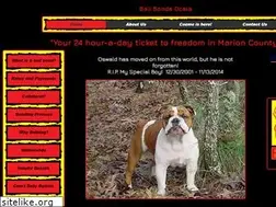 Sites similar to bulldogbailbonds.biz