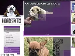 Sites similar to bulldogsmexico.com