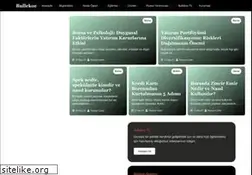 Sites similar to bullekon.com