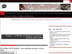 Sites similar to bullesdeculture.com