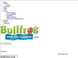 Sites similar to bullfrogpooltilecleaning.com
