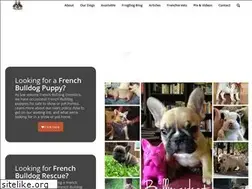 Sites similar to bullmarketfrogs.com
