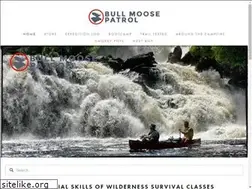 Sites similar to bullmoosepatrol.com