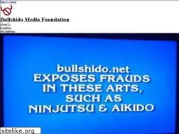 Sites similar to bullshido.org