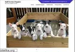 Sites similar to bullterrierpuppiesforsale.com