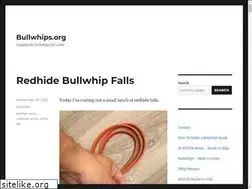 Sites similar to bullwhips.org