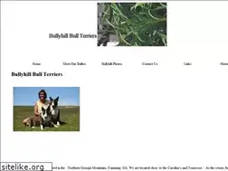 Sites similar to bullyhillbullterriers.com