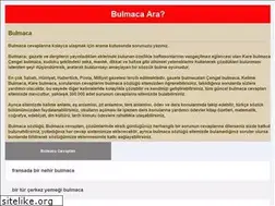 Sites similar to bulmaca-cevaplari.com