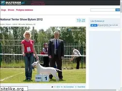 Sites similar to bulterier.pl