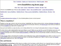 Sites similar to bumblebee.org