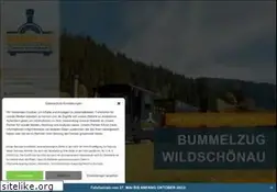Sites similar to bummelzug.com