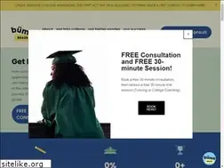 Sites similar to bumobrain.com