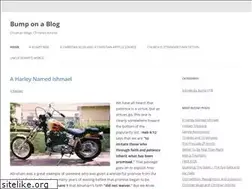 Sites similar to bumponablog.com