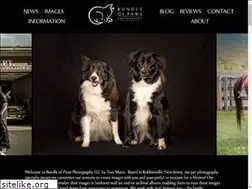 Sites similar to bundleofpawsphotography.com
