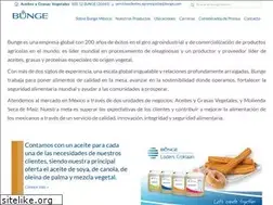 Sites similar to bungemexico.com
