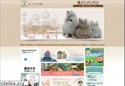 Sites similar to bunnyfa-yokohama.com