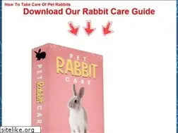 Sites similar to bunnysupplyco.com