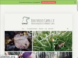 Sites similar to buntspechte-cappel.de