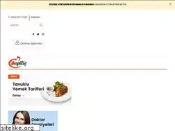 Sites similar to bupilic.com.tr