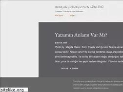 Sites similar to burcakcubukcu.com