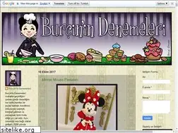 Sites similar to burcinindenemeleri.com