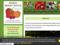 Sites similar to buresberrypatch.com
