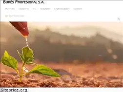 Sites similar to burespro.com