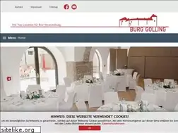 Sites similar to burg-golling.at