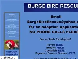 Sites similar to burgebirdrescue.com