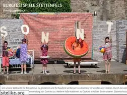 Sites similar to burgfestspiele-stettenfels.com