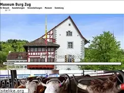 Sites similar to burgzug.ch