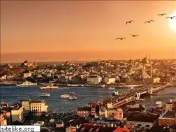 Sites similar to burhantarlabasi.com