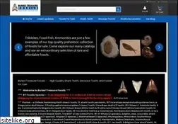 Sites similar to buriedtreasurefossils.com