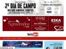 Sites similar to buritisagora.com