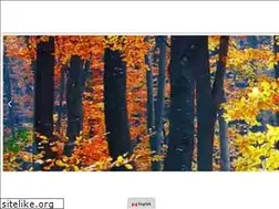 Sites similar to burlingtongreen.org