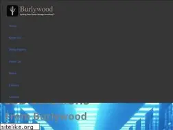 Sites similar to burlywoodtech.com