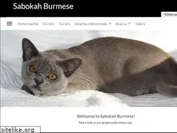 Sites similar to burmesecat.co.nz
