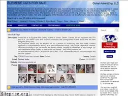 Sites similar to burmesecat.com