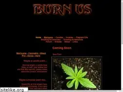 Sites similar to burn.us