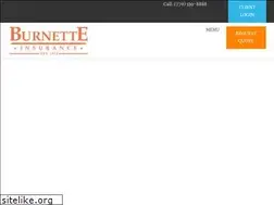 Sites similar to burnetteinsurance.com