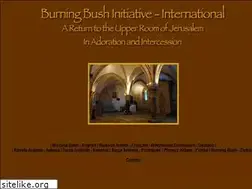 Sites similar to burningbushinitiative.com