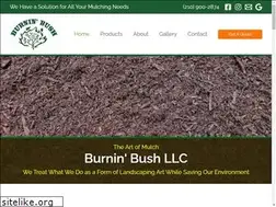Sites similar to burningbushsa.com