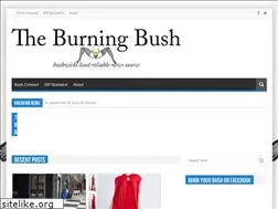 Sites similar to burningbushwick.com